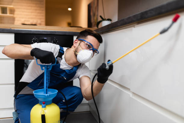 Best Mosquito Control Services  in Pelican Marsh, FL
