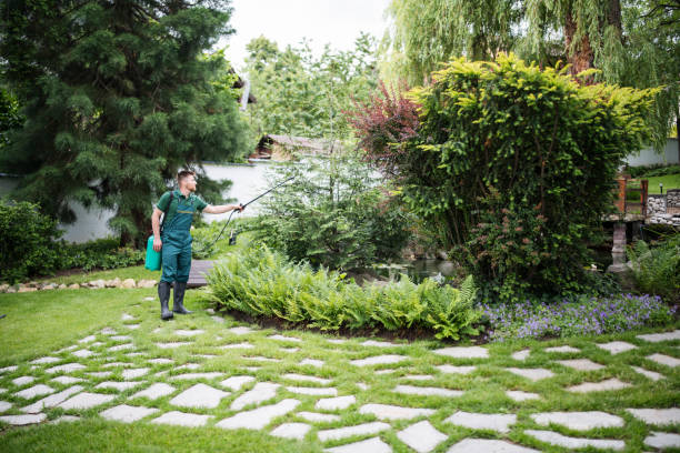 Best Best Pest Control Companies  in Pelican Marsh, FL