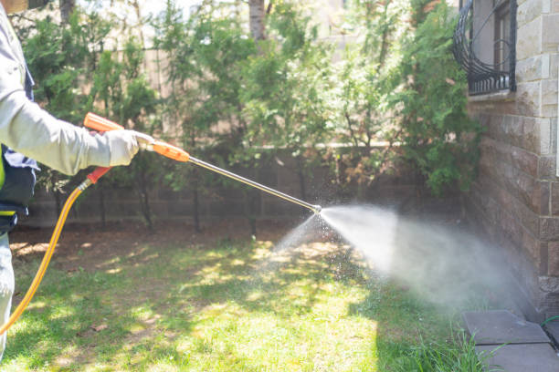 Best Best Pest Control Companies  in Pelican Marsh, FL