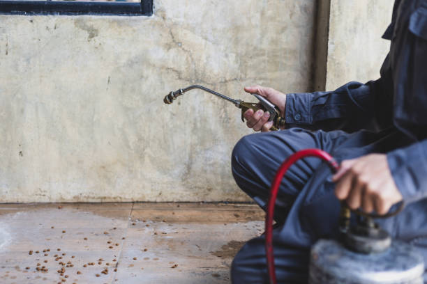 Wasp Removal Services in Pelican Marsh, FL