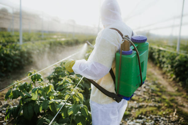 Best Pest Removal Services  in Pelican Marsh, FL